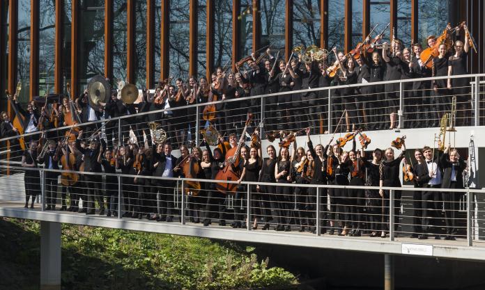 the orchestra 